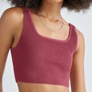 Aritzia / Babaton Mauve Crop Top